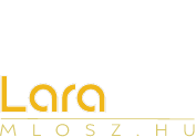 LARAWEB