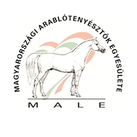 Magyarországi Arablótenyésztők Egyesülete
