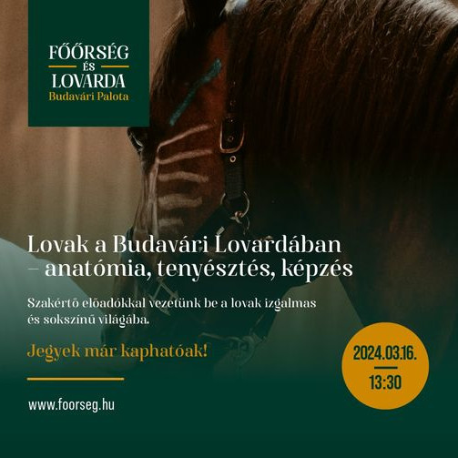 Lovak a Budavári Palotában