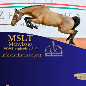 MSLT Ménvizsga