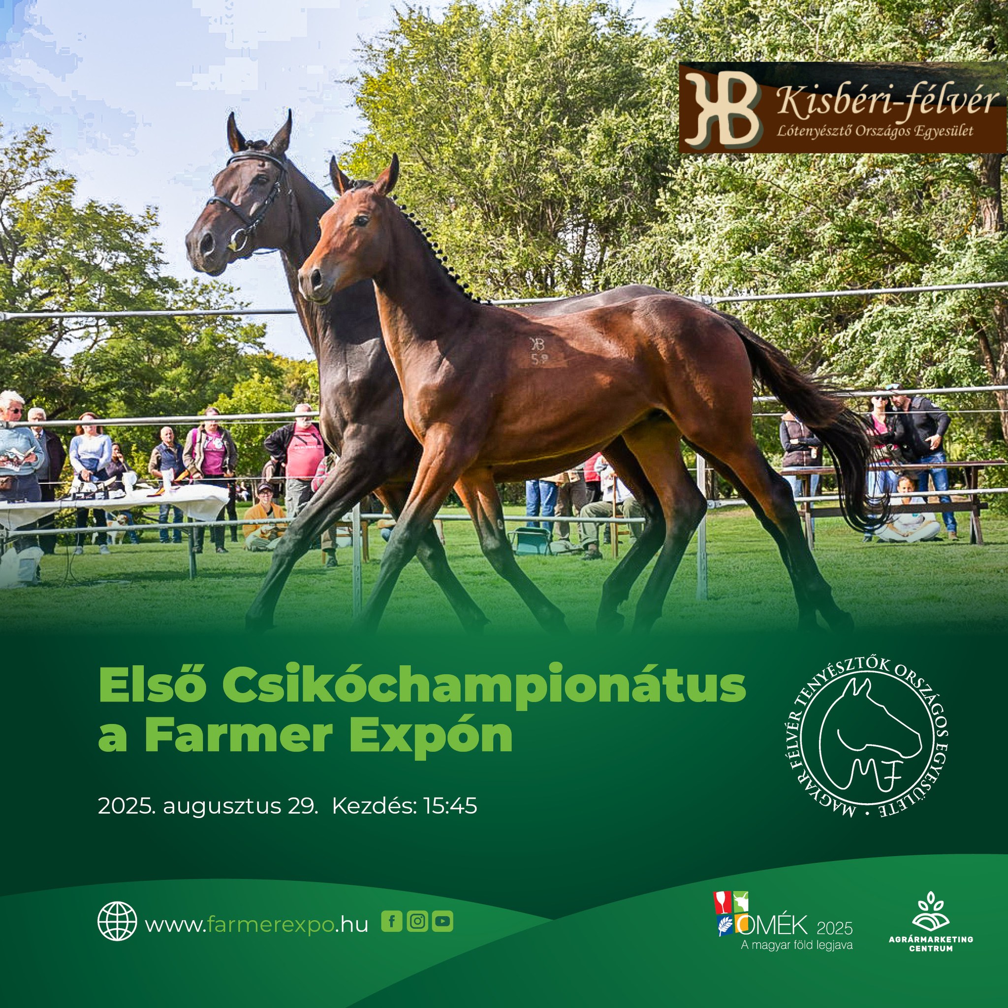 Kisbéri-félvér és Magyar félvér Csikóchampionátus a Farmer Expo-n 2025 Kisbéri-félvér és Magyar félvér Csikóchampionátus a Farmer Expo-n 2025