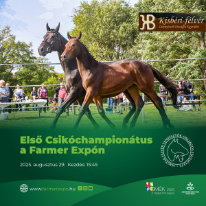 Kisbéri-félvér és Magyar félvér Csikóchampionátus a Farmer Expo-n 2025