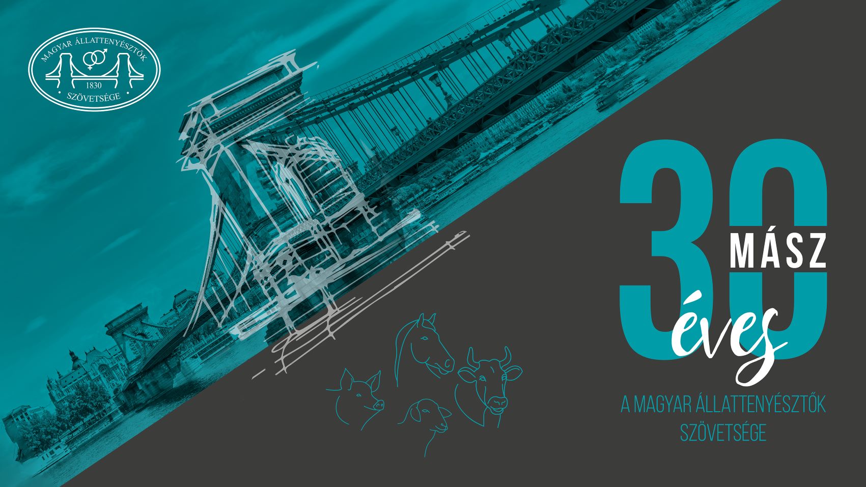 MÁSZ 30 - Jubileumi film