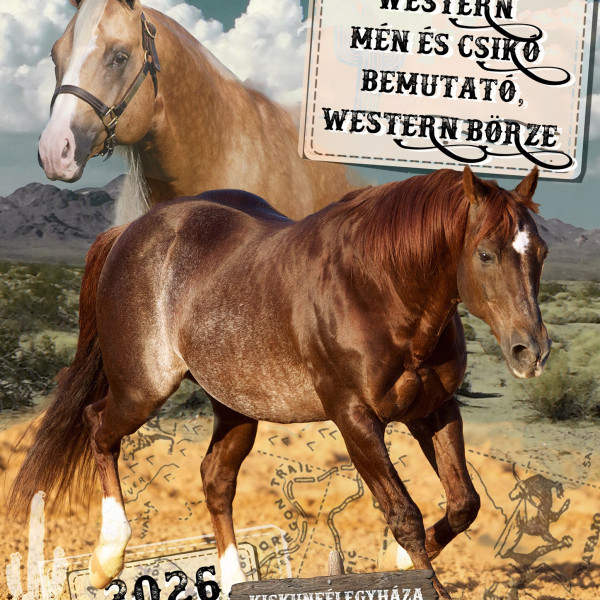 Western Mén- és Csikó Bemutató 2026