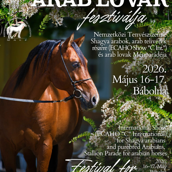 Arab Lovak Fesztiválja 2026 – Bábolna